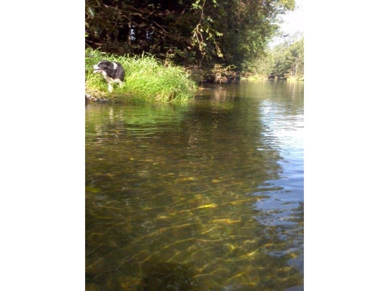 339 Dairyville Road, Upper Orara NSW 2450