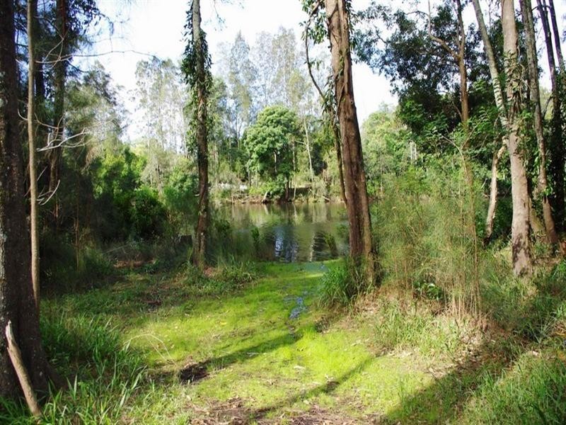 4 Forest Oak Drive, Bonville NSW 2441