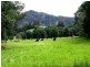 63 Dairyville Road, Upper Orara NSW 2450