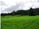 63 Dairyville Road, Upper Orara NSW 2450