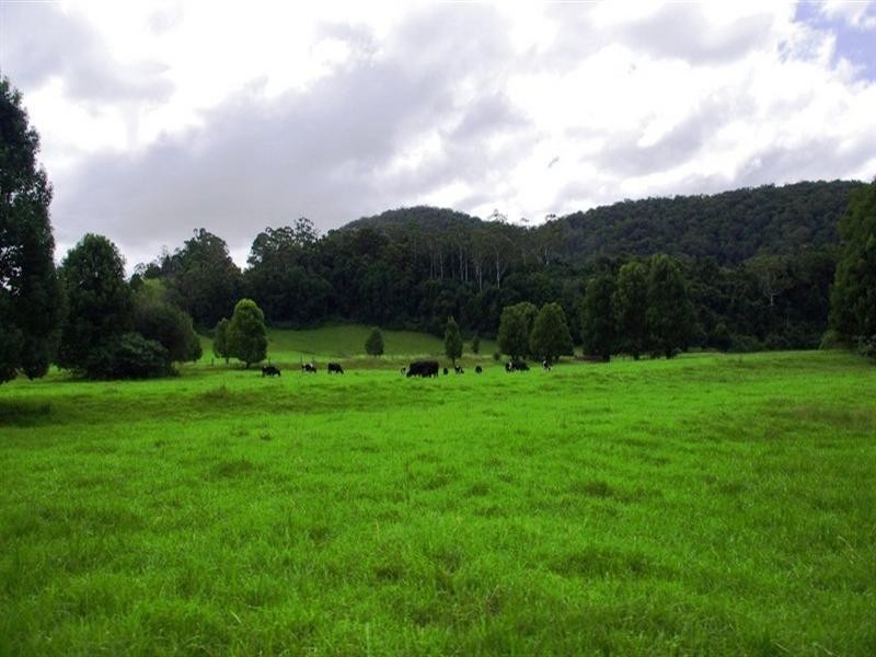 63 Dairyville Road, Upper Orara NSW 2450