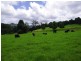 63 Dairyville Road, Upper Orara NSW 2450