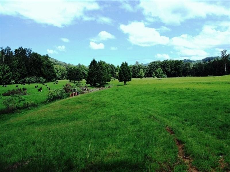 63 Dairyville Road, Upper Orara NSW 2450