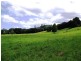 63 Dairyville Road, Upper Orara NSW 2450