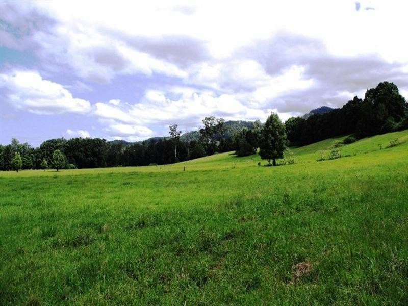 63 Dairyville Road, Upper Orara NSW 2450