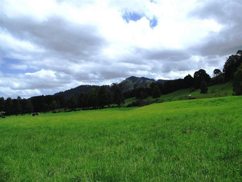 63 Dairyville Road, Upper Orara NSW 2450