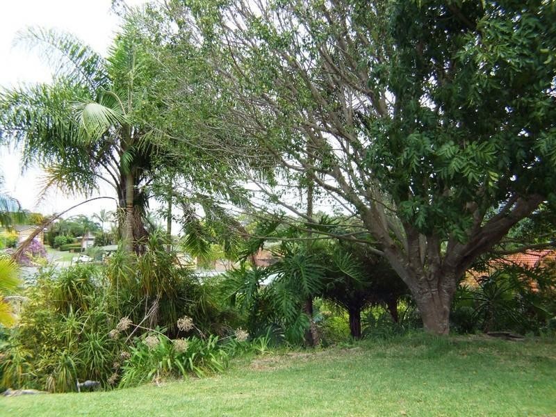 86 Linden Avenue, Boambee East NSW 2452