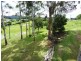 19 Pine Avenue, Ulong NSW 2450