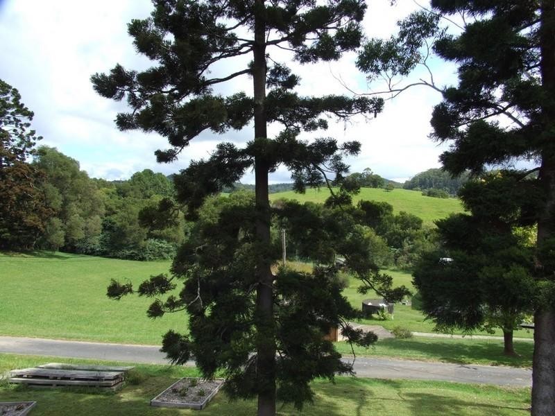 19 Pine Avenue, Ulong NSW 2450