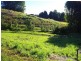 3 Hilliana Close, Bellingen NSW 2454