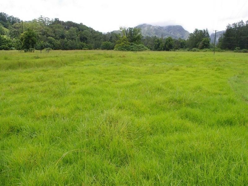 339 Dairyville Road, Upper Orara NSW 2450