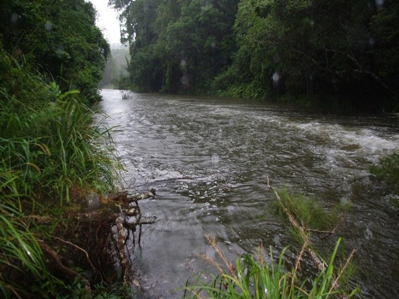 339 Dairyville Road, Upper Orara NSW 2450