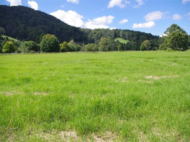 339 Dairyville Road, Upper Orara NSW 2450