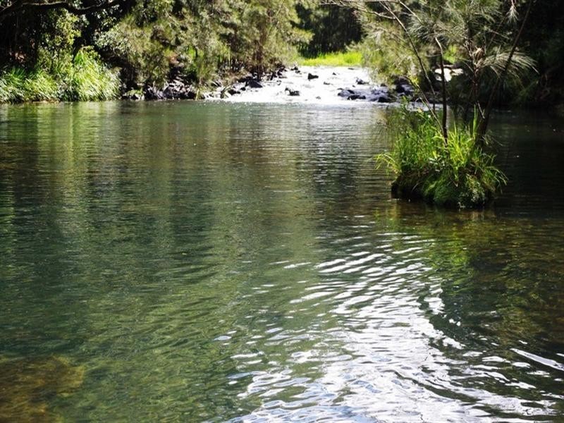 339 Dairyville Road, Upper Orara NSW 2450