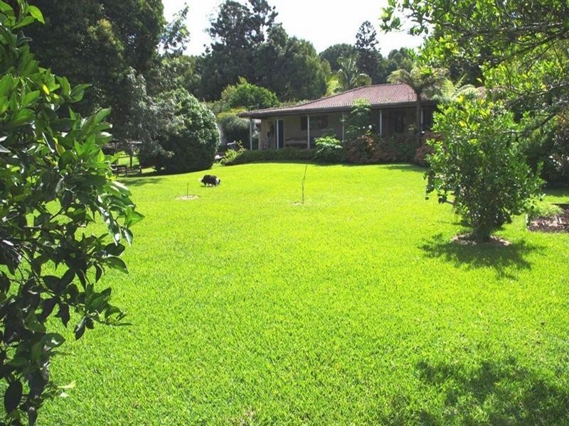 339 Dairyville Road, Upper Orara NSW 2450