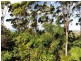 12 Island View Close, Coffs Harbour NSW 2450
