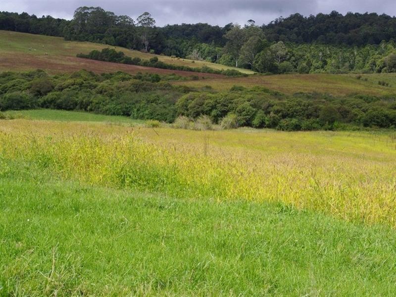 Lot 13 Cavanaghs Road, Lowanna NSW 2450