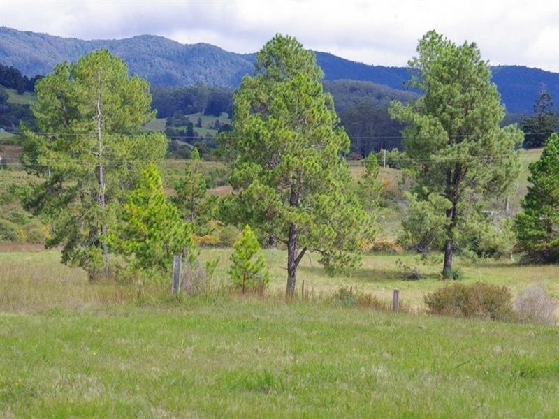 Lot 9 Cavanaghs Road, Lowanna NSW 2450