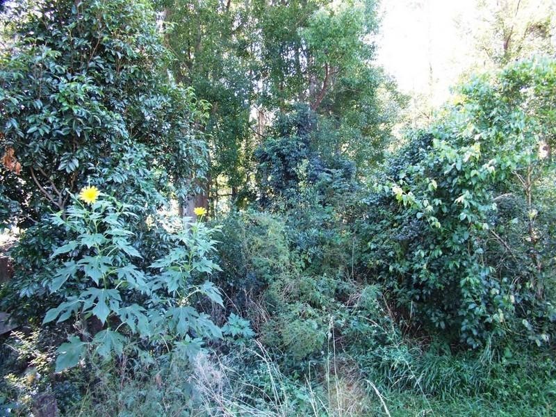 21 Adelines Way, Coffs Harbour NSW 2450