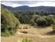 529 Dairyville Road, Upper Orara NSW 2450