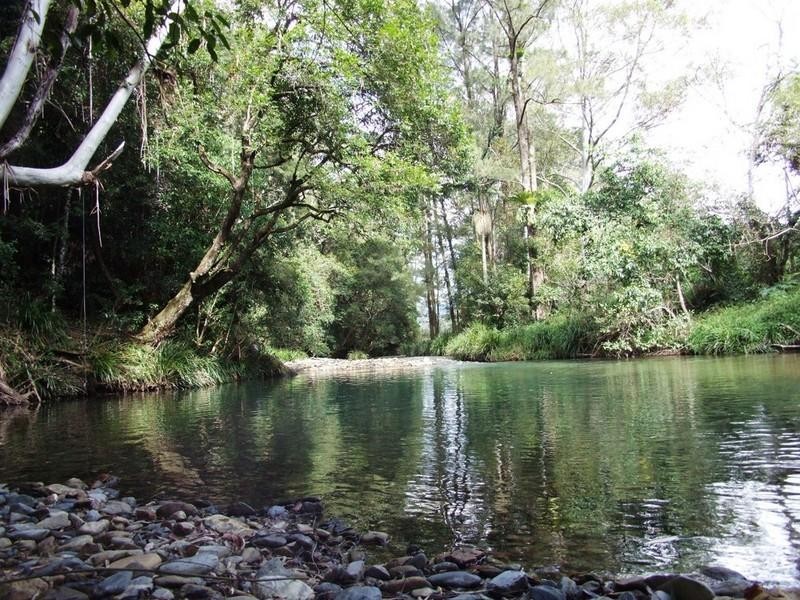 529 Dairyville Road, Upper Orara NSW 2450