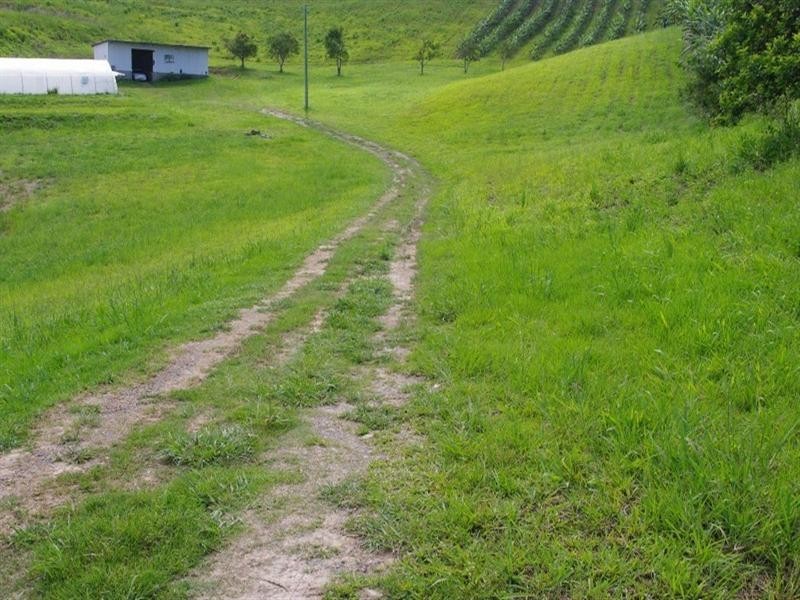 77 & 77a Spagnolos Road, Coffs Harbour NSW 2450