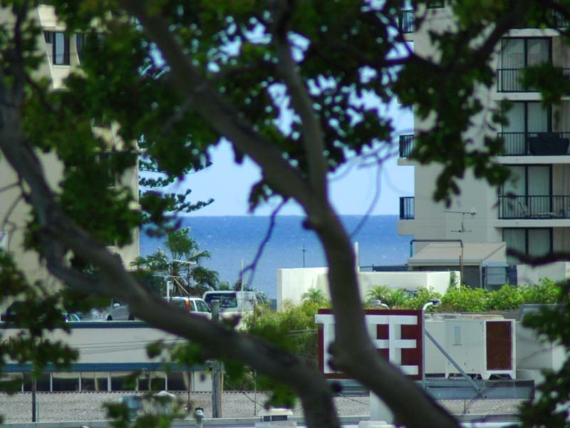Tweed Heads NSW 2485