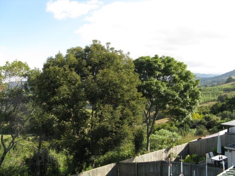40 Vail Court, Bilambil Heights NSW 2486