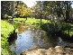 Springbrook QLD 4213