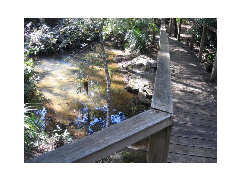 Springbrook QLD 4213