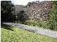 Springbrook QLD 4213