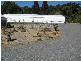 Springbrook QLD 4213