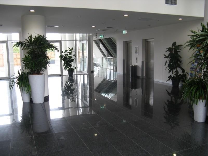 Tweed Heads NSW 2485