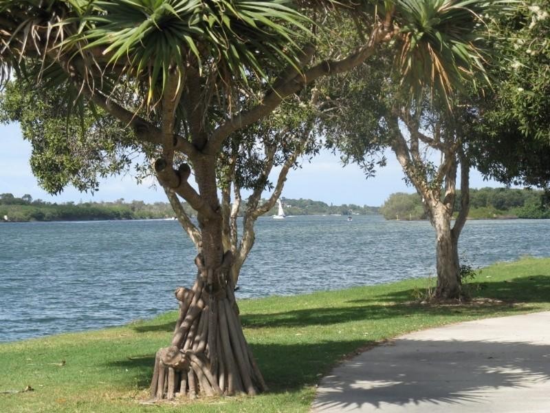 Tweed Heads NSW 2485