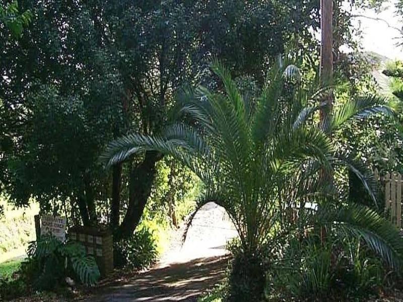 6/17 Rutledge Street, Coolangatta QLD 4225