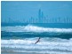 Coolangatta QLD 4225