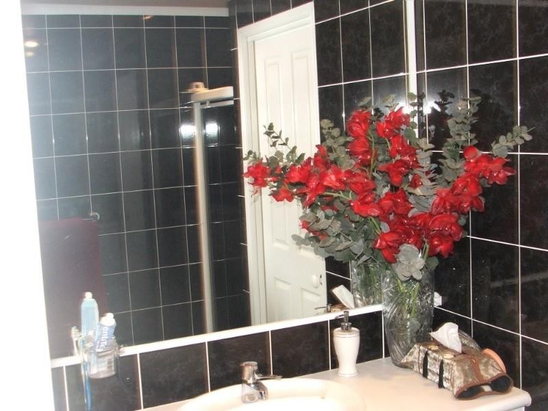 Tweed Heads South NSW 2486