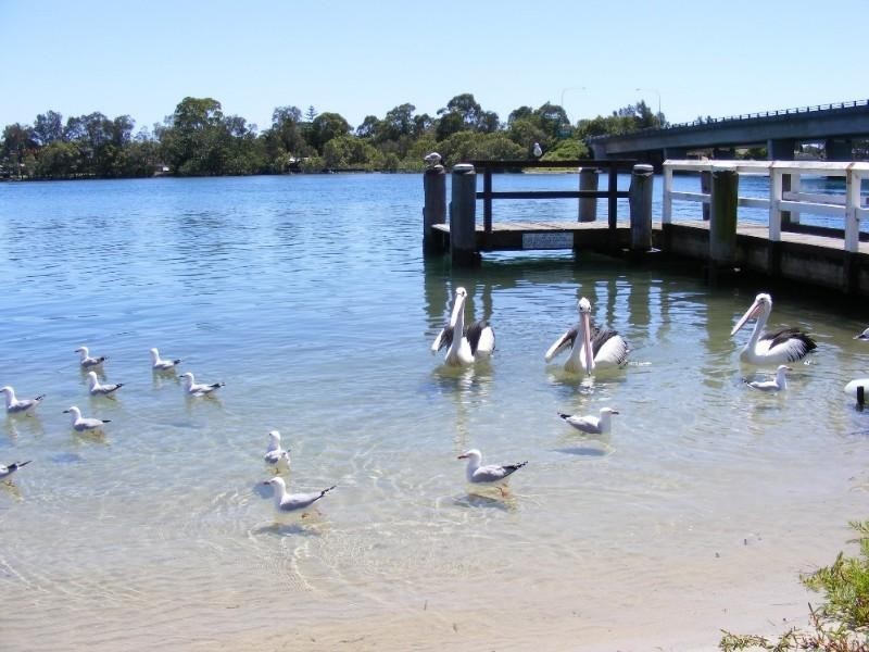 Tweed Heads South NSW 2486