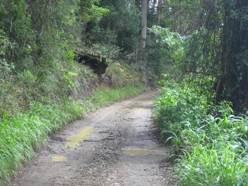 170 Glengarrie Road, Carool NSW 2486