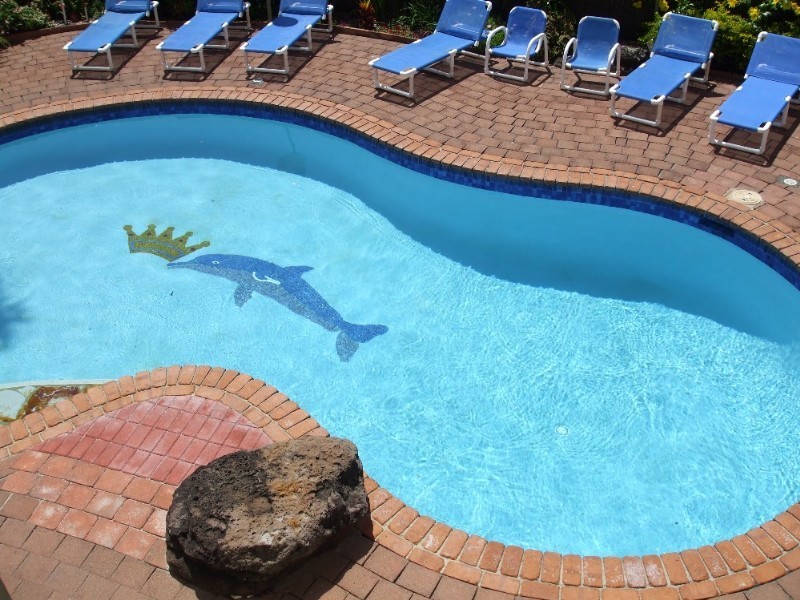 Coolangatta QLD 4225