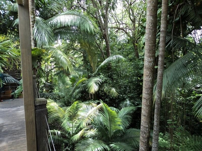 36 Peninsula Drive, Bilambil Heights NSW 2486