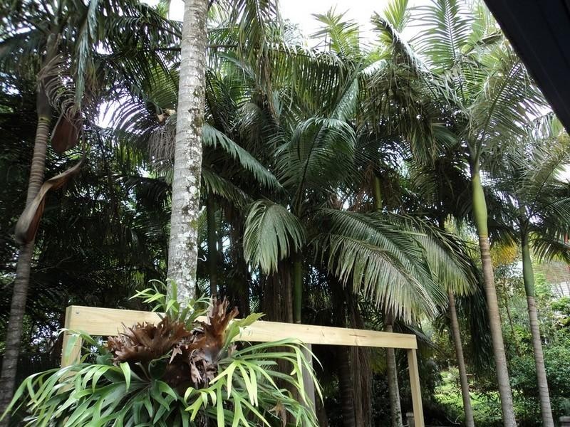 36 Peninsula Drive, Bilambil Heights NSW 2486