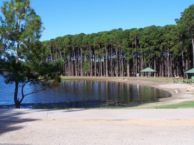 Mermaid Waters QLD 4218