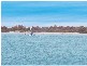 Tweed Heads NSW 2485
