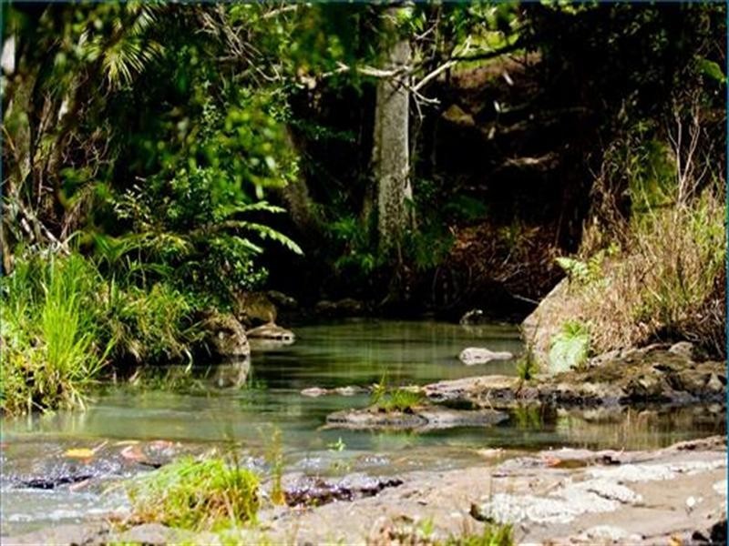 84 McDONALDS RD (HOUSE), Carool NSW 2486