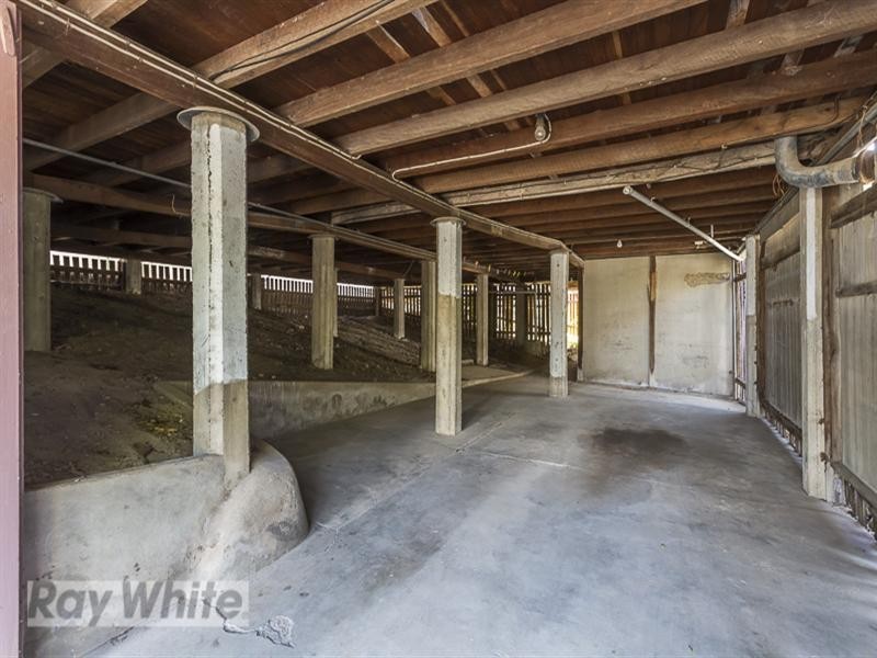 26 Wills Street, Coorparoo QLD 4151