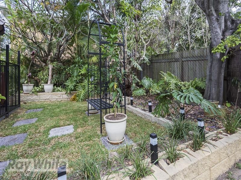 123 Pembroke Road, Coorparoo QLD 4151