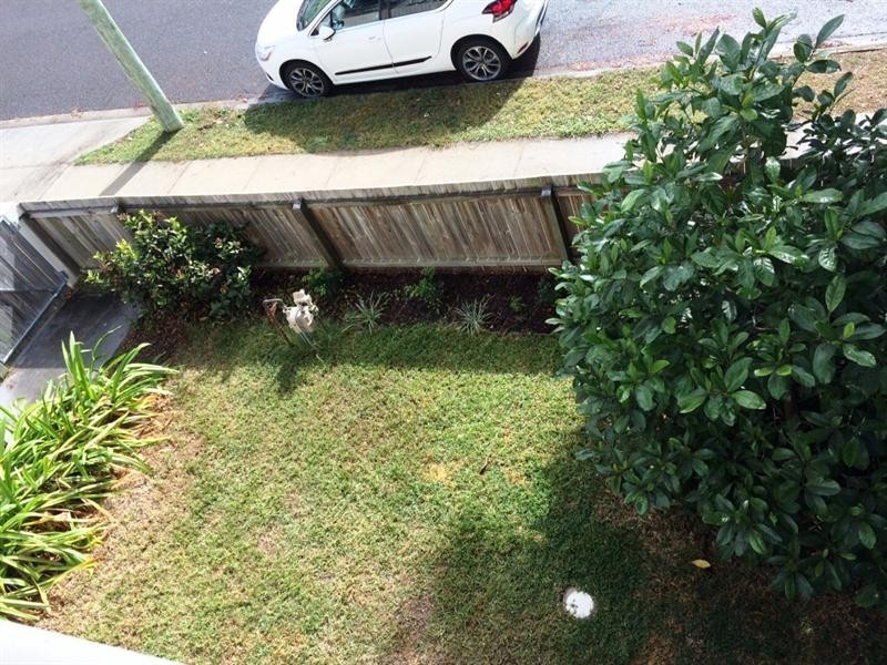 1217A Stanley Street East, Coorparoo QLD 4151