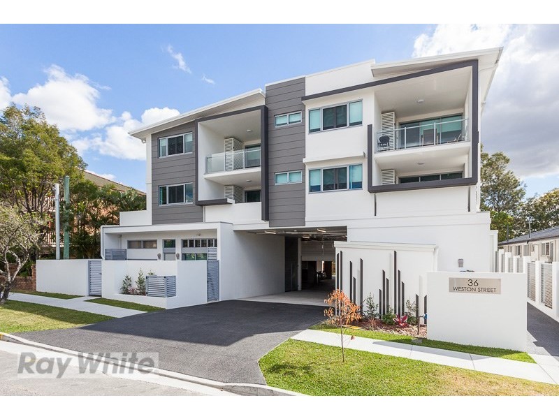 6/36 Weston Street, Coorparoo QLD 4151