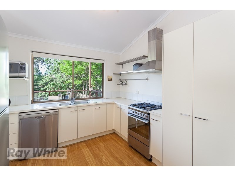 43 Carr Street, Bulimba QLD 4171